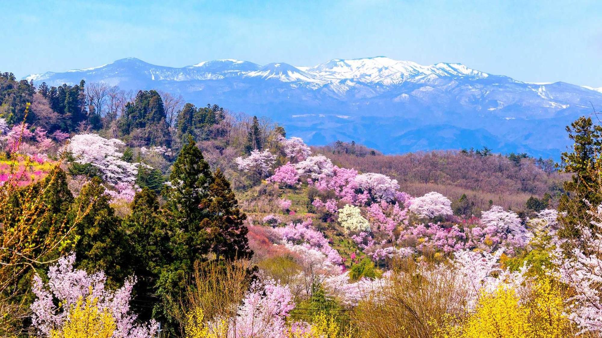 Toyoko Inn Fukushima Eki Nishi Guchi Luaran gambar